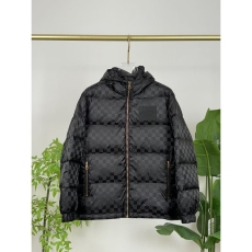 Louis Vuitton Down Jackets